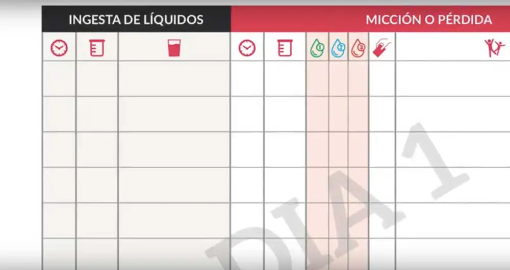 Diario miccional. Alier® Pañales para Adultos