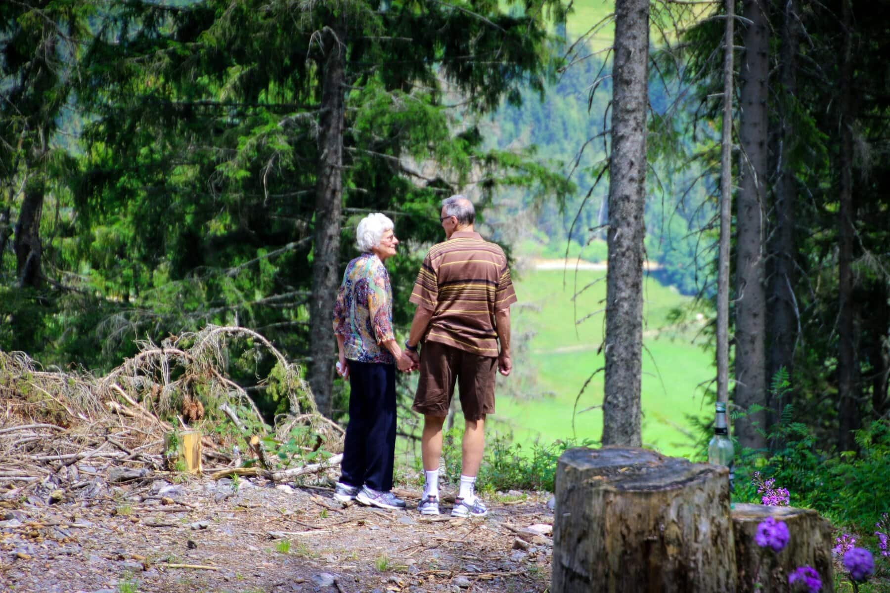 Adultos mayores agarrados de la mano en el bosque. Pañales para adultos. pañales para adulto hombre