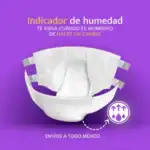 Pañales para adultos en México para una protección e higiene diaria. Pañal Nocturno con indicador de humedad. Envio a todo México.