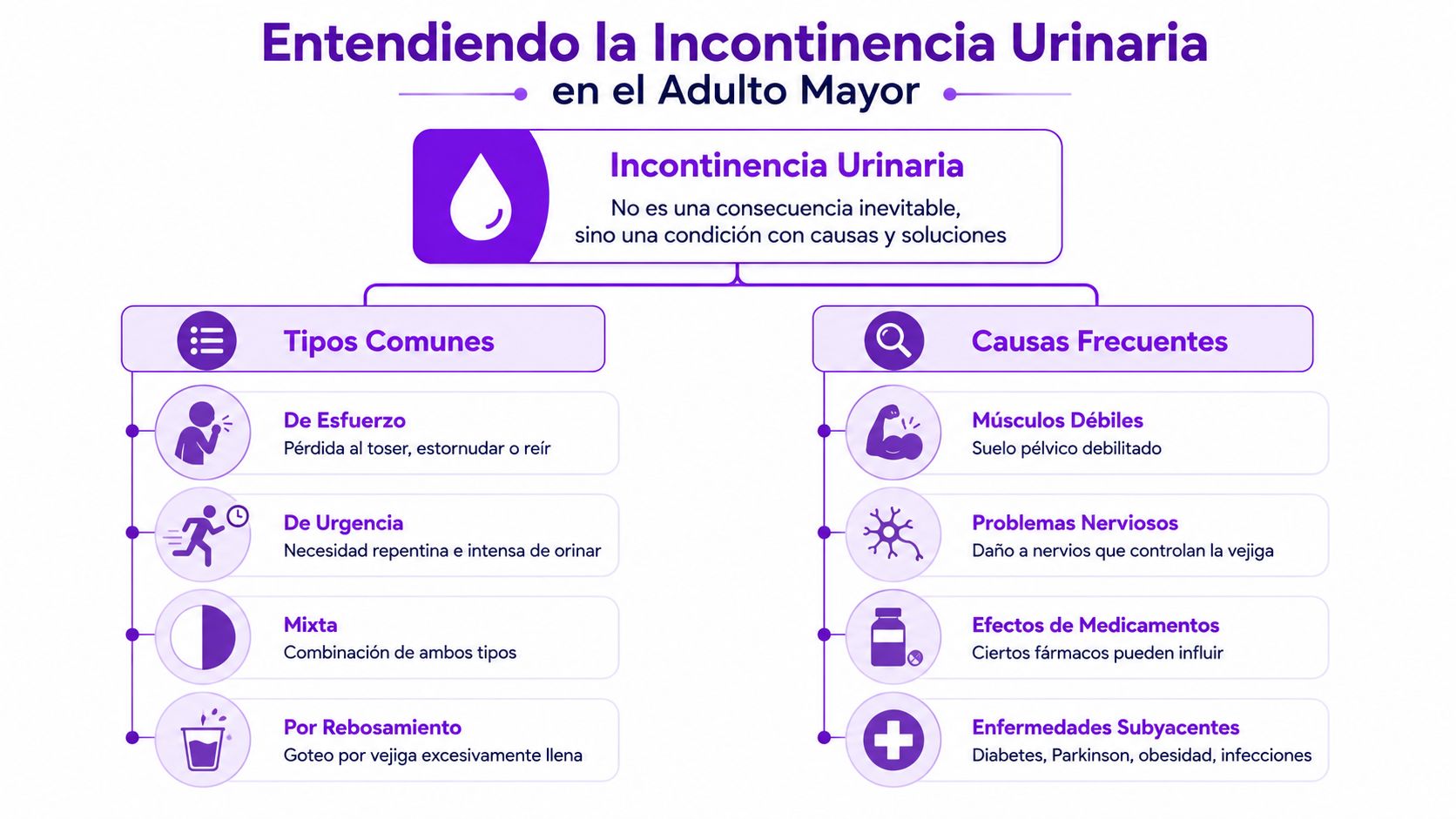 Infografía sobre la incontinencia urinaria en adultos mayores, detallando tipos comunes y sus causas frecuentes de forma clara.